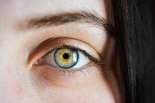 human eye