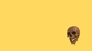 brown skull wallpaper, minimalism, skull