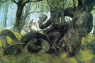 brown and gray dragon painting, John Howe, dragon, knight, drawing