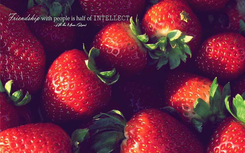 red strawberry lot, Ali ibn Musa, Imam, Islam, fruit HD wallpaper