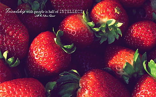 red strawberry lot, Ali ibn Musa, Imam, Islam, fruit