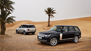 black Land Rover SUV, Range Rover, palm trees, car, vehicle