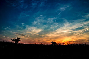 sky during sunset, nature, sky, sunset, landscape HD wallpaper