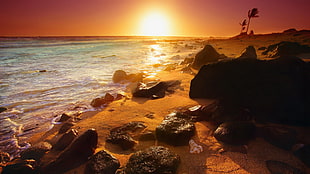 ocean wave on seashore at golden hour, beach, sunset