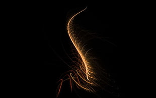 Shadow,  Ray,  Light,  Gleams