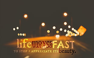 bokeh photography of street, quote