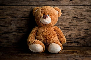 brown bear plush toy, toys, sitting, portrait, teddy bears HD wallpaper