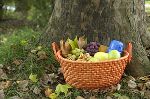brown wicker basket with plastic fruits