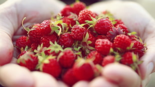 red strawberries, raspberries, food