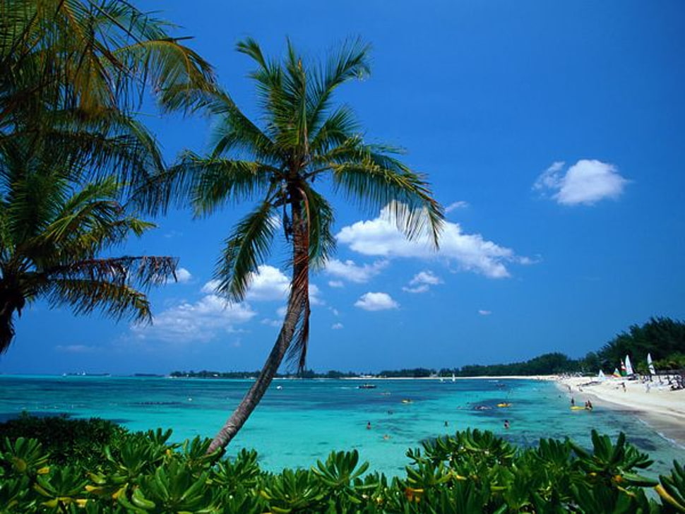 beach during daytime HD wallpaper