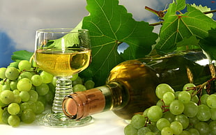 white wine bottle with wine glass surrounded by grapes HD wallpaper