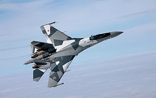 gray and white plane illustration, Sukhoi Su-27, military aircraft, aircraft, Russian Air Force HD wallpaper