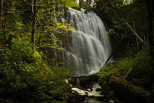 timelapse photography of waterfalls near trees HD wallpaper