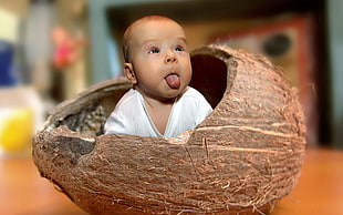 shallow focus photography on baby in coconut shell