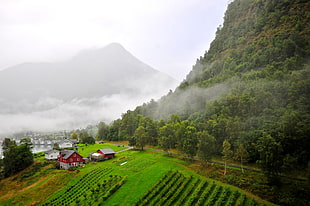 green fields during daytime, norwegian