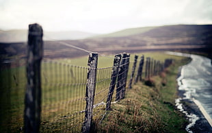 gray wooden fence, landscape, road, fence