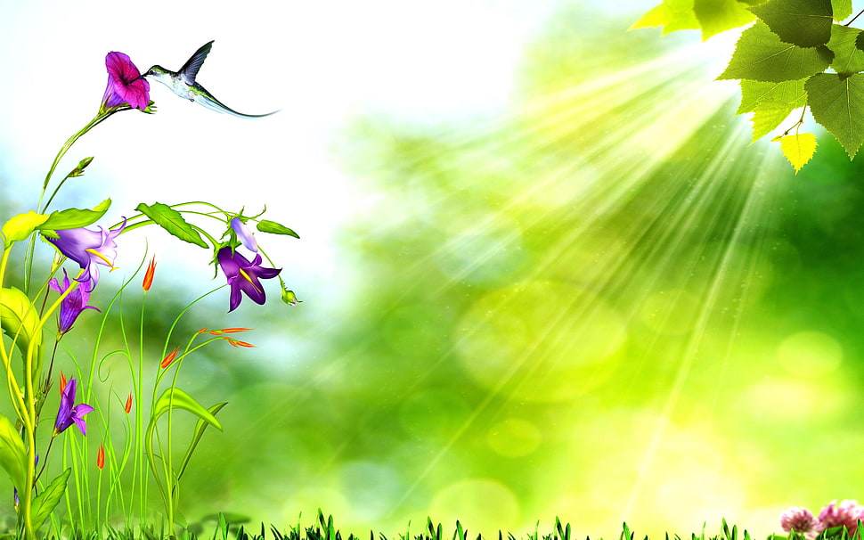 digital photo of green leaf flower with purple flower birds HD wallpaper