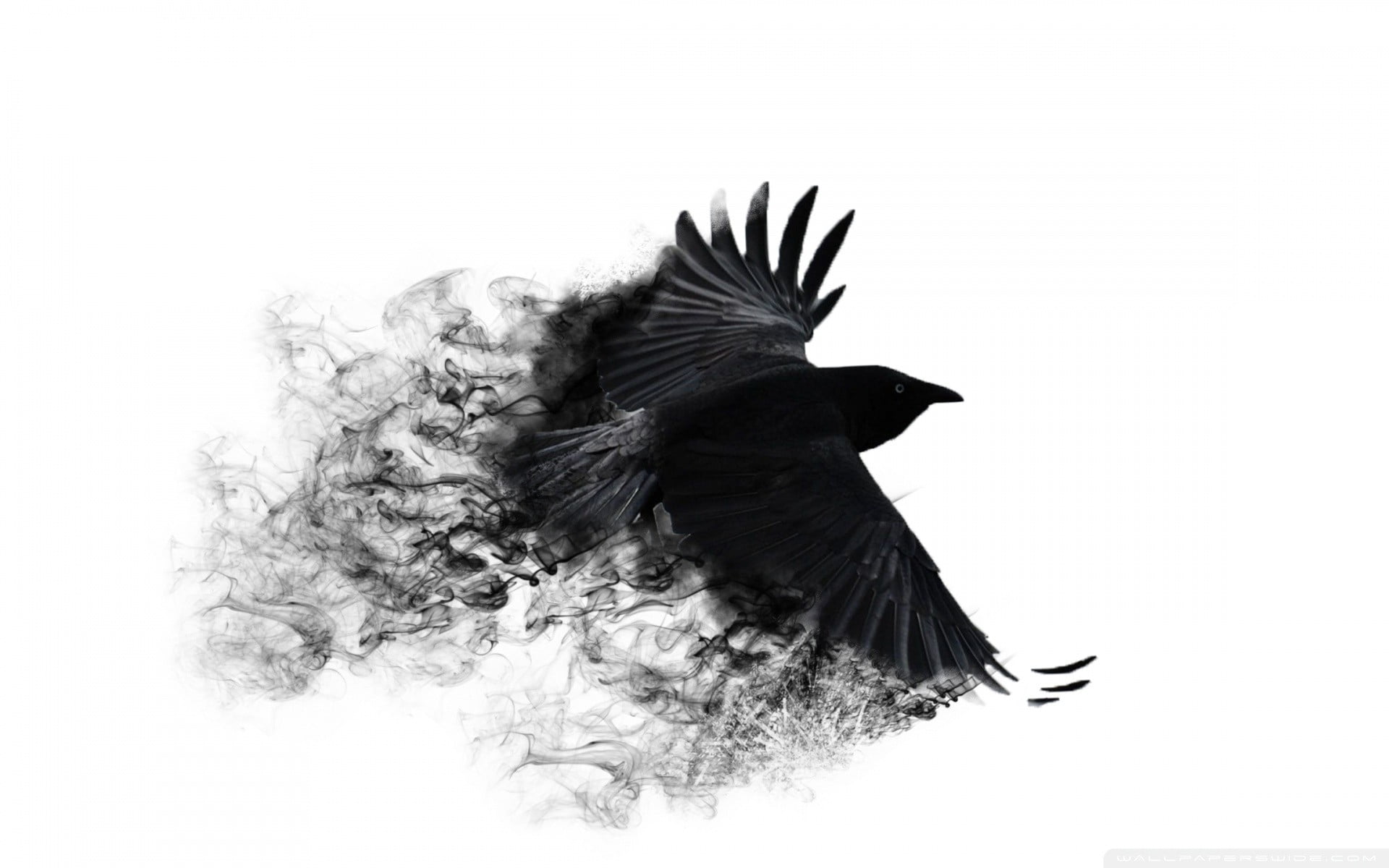 1280x768 resolution | blue bird, raven, crow, psychedelic, blue HD 