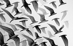 flock of gray and white bird painting, artwork, monochrome, birds, flying