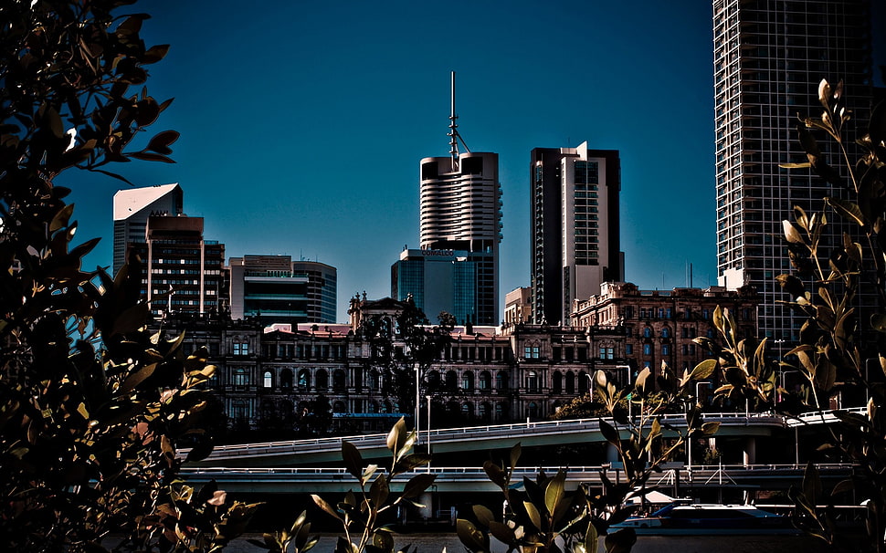 brown and gray buildings photo taken during daytime HD wallpaper