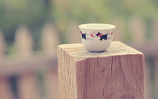 round white ceramic bowl on brown wooden stand