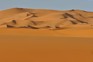 brown desert digital wallpaper