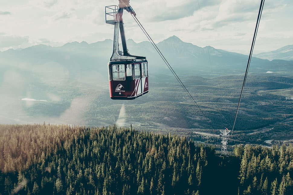 red and white cable car, nature, ropeway, landscape, vehicle HD wallpaper
