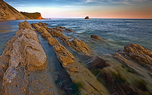 brown rock submerge in sea water during daytime