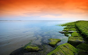 green moss covered stones beside blue body of water under orange cloudy sky