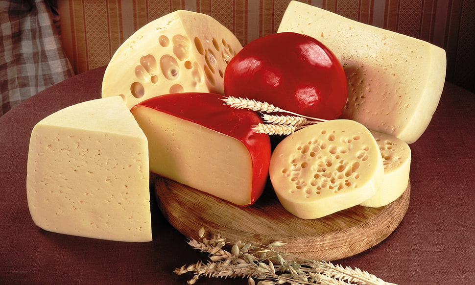 assorted cheese HD wallpaper