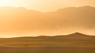 desert photo HD wallpaper