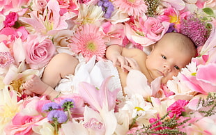 baby lying on white and pink Roses with pink Gerberas, pink and white Lilies, white and pink Daisies
