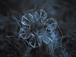snowflakes selective  photography