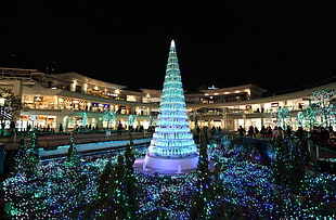 white and green lighted public Christmas tree