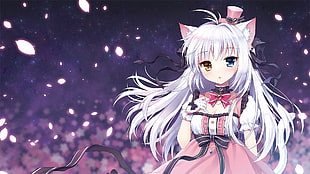 white haired female anime, anime, anime girls, cat girl, heterochromia