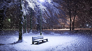 snow during night HD wallpaper