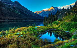 calm body of water surrounded with trees and mountains, landscape, nature, mountains, water