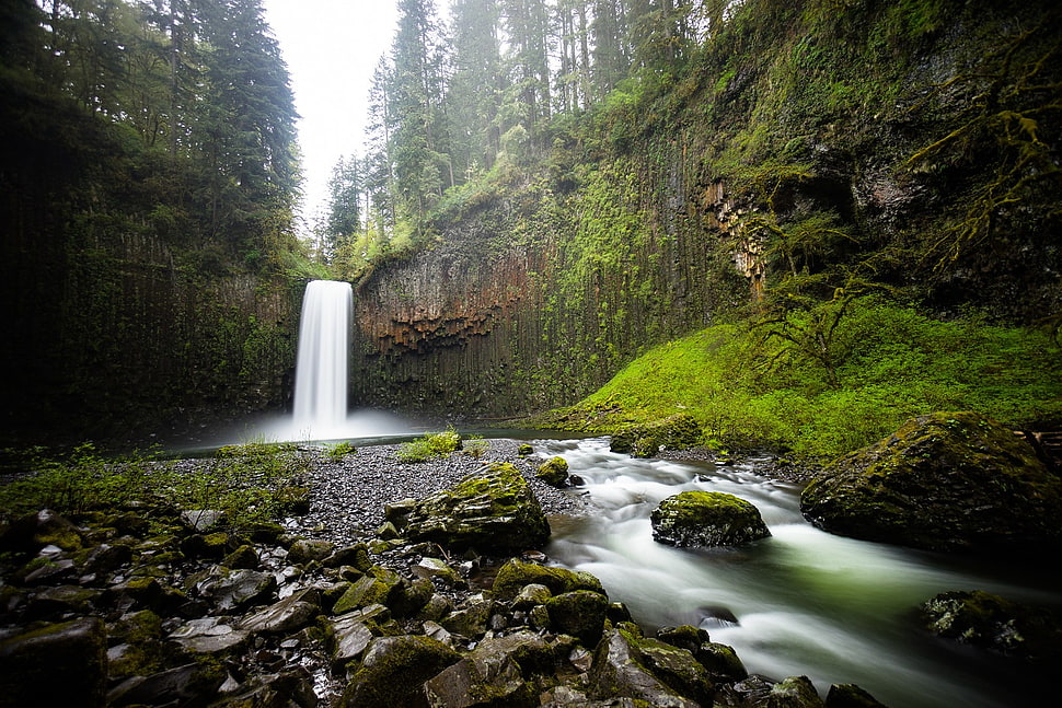 forest waterfalls, nature, waterfall, rock, moss HD wallpaper