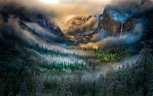 mountain and tree digital wallpaper, nature, landscape, mountains, mist