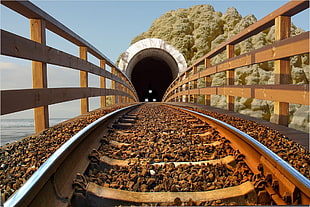 brown wooden fence and stone tunnel, train