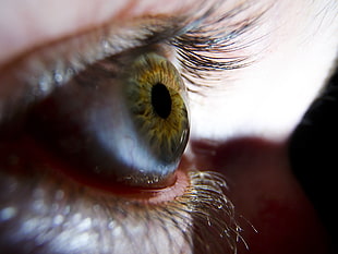 closeup photo of person eyeball