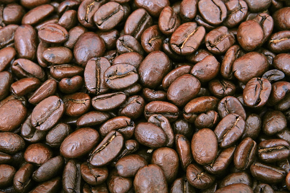 coffee beans HD wallpaper