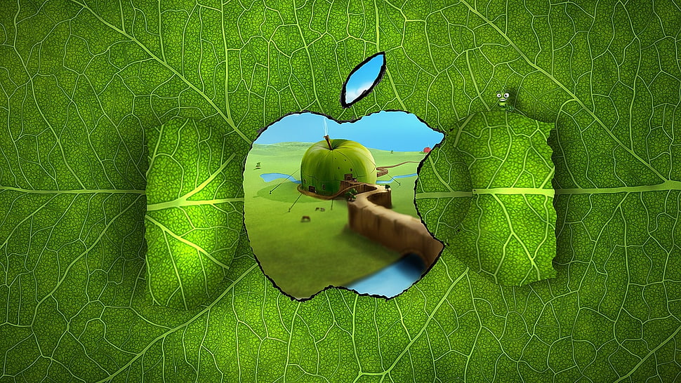 green apple illustration HD wallpaper