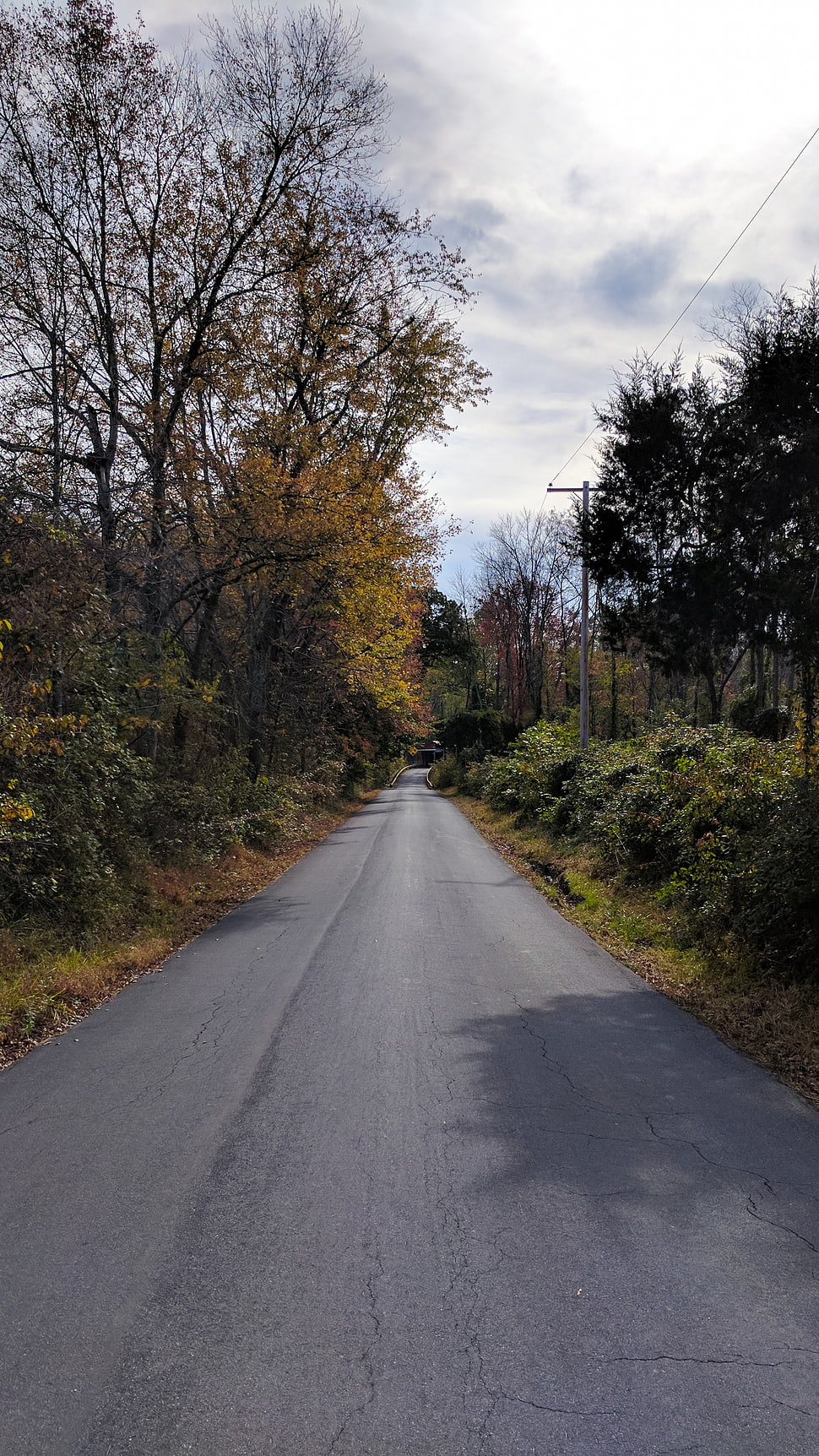 gray asphalt road HD wallpaper