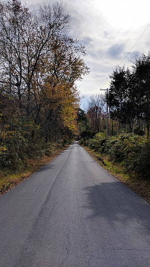 gray asphalt road