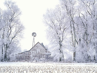 Snow village landscape photography during daytime