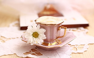white ceramic teacup with saucer HD wallpaper