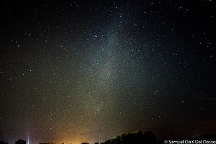 stars during nighttime photo