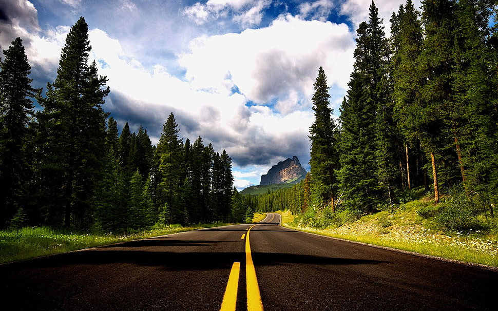 load leading to mountain at daytime, landscape, trees, sky, clouds HD wallpaper