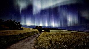 aurora beam HD wallpaper
